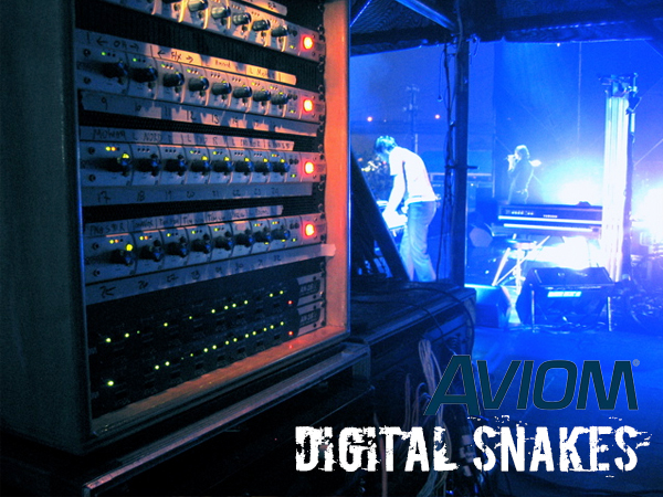 DIGITAL SNAKES